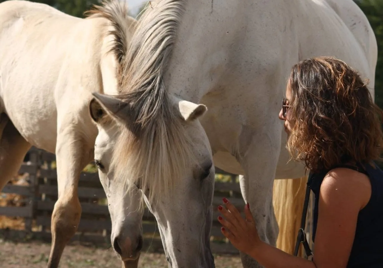 Les 5 questions à poser avant de mettre son cheval en pension