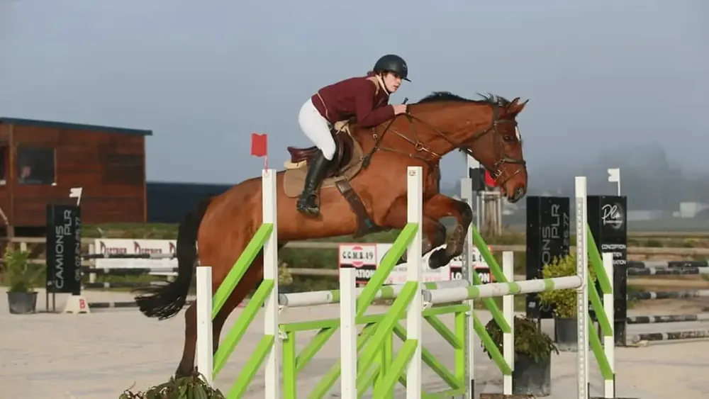 Cours CSO · CCE · dressage